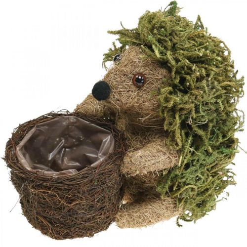 Artikel Egel met mand groen, herfstdecoratie om te planten, decoratieve plantenmand H24cm Ø9,5cm