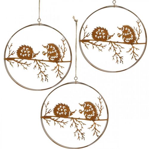 Artikel Metalen hanger, egel aan tak, herfstdecoratie, decoratieve ring, roestvrijstalen frame Ø15.5cm 3st