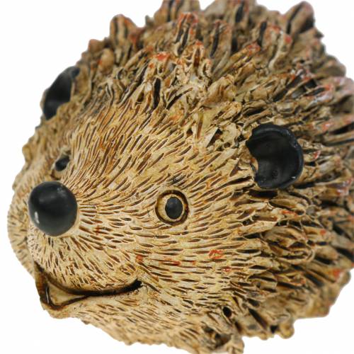 Floristik24 Decoratief figuur egel naturel 6,5 cm