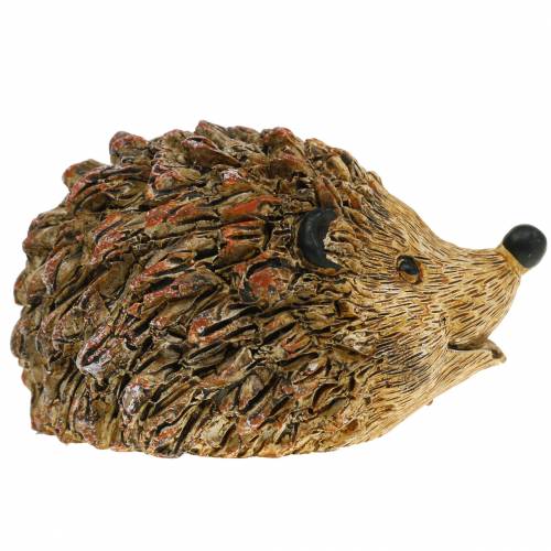 Floristik24 Decoratief figuur egel naturel 6,5 cm