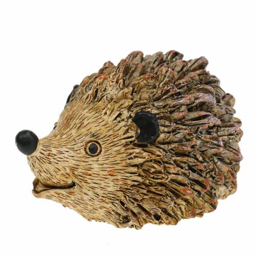 Floristik24 Decoratief figuur egel naturel 6,5 cm