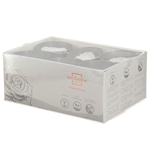 Artikel Infinity Roses Echte Geconserveerde Rozenkoppen Wit Ø6cm 6 stuks