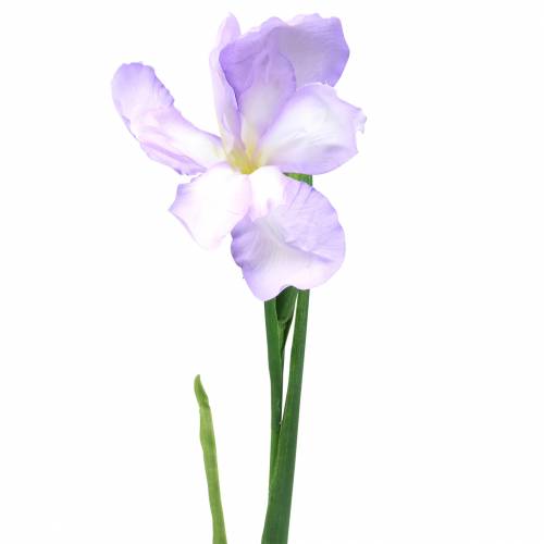 Floristik24 Iris kunstmatig paars 78cm