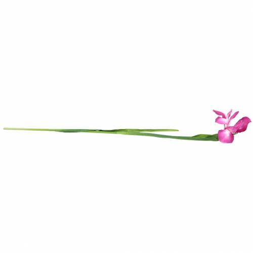 Artikel Iris kunstmatig Roze 78cm