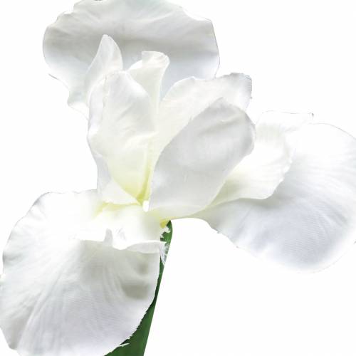 Floristik24 Iris kunstmatig wit 78cm