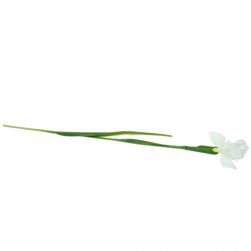 Floristik24 Iris kunstmatig wit 78cm