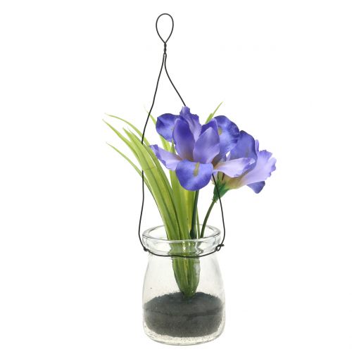 Floristik24 Iris sering in een glas om op te hangen H21.5cm