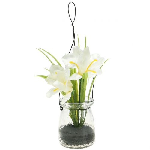 Iriswit in een glas om op te hangen H21.5cm