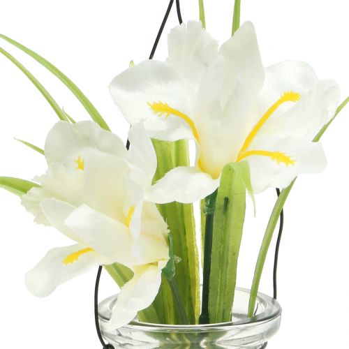 Floristik24 Iriswit in een glas om op te hangen H21.5cm