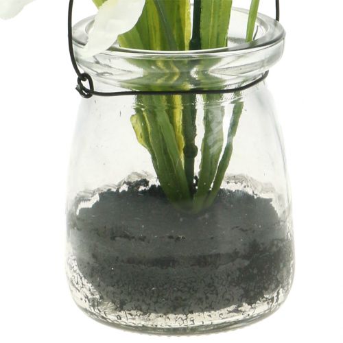Floristik24 Iriswit in een glas om op te hangen H21.5cm