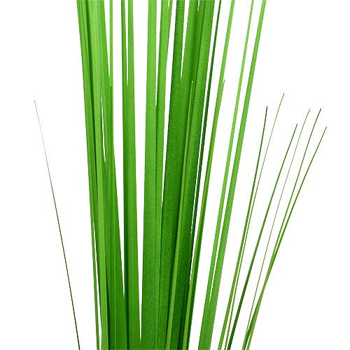 Artikel Isolepsisgrass lichtgroen 85cm 1st