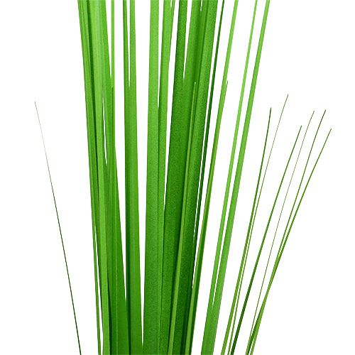 Floristik24 Isolepsisgrass lichtgroen 85cm 1st