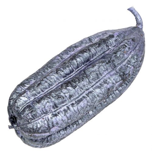 Floristik24 Luffa Fruit Violet 14cm – 20cm 10 st