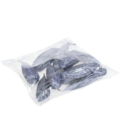 Floristik24 Luffa Fruit Violet 14cm – 20cm 10 st