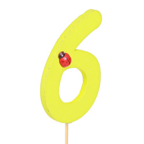 Artikel Jubileumnummer “6” houten pluggen kleurrijke nummerpluggen 7cm 16 stuks