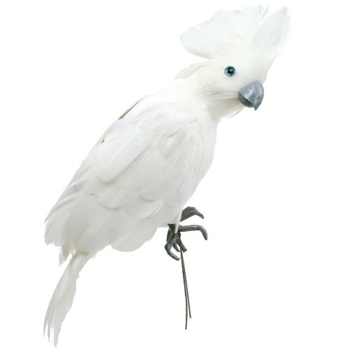 Floristik24 Decoratieve kaketoe met veren wit L30cm