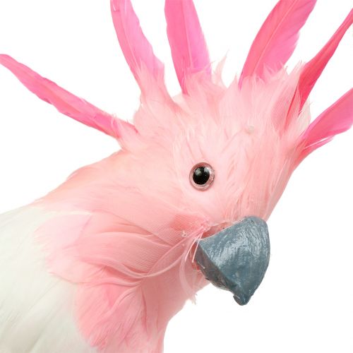 Floristik24 Decoratieve kaketoe roze 32cm