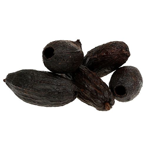 Floristik24 Cacaopeulen naturel 10-18cm 15st
