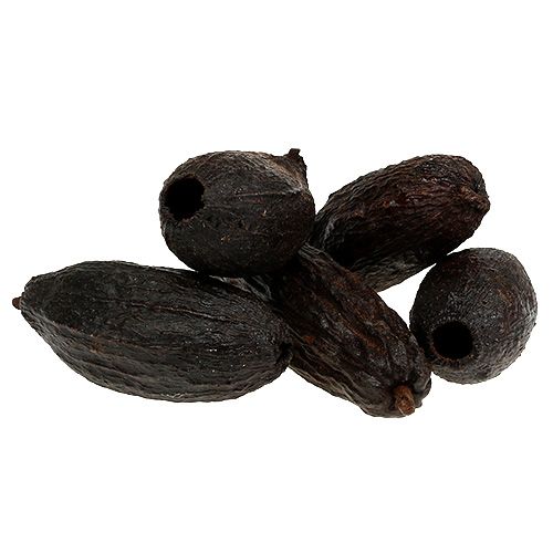 Floristik24 Cacaofruit naturel 10-18cm 15 st