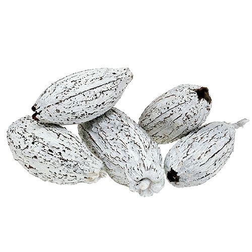 Cacaopeulen witgekalkt 15 st