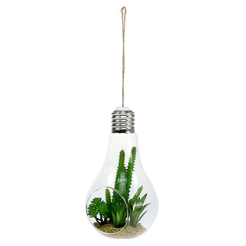 Cactussen in glas om 21cm op te hangen