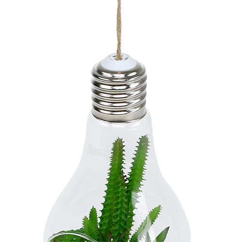 Artikel Cactussen in glas om 21cm op te hangen