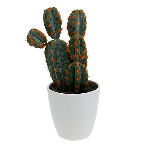 Cactussen in pot kunst 20cm