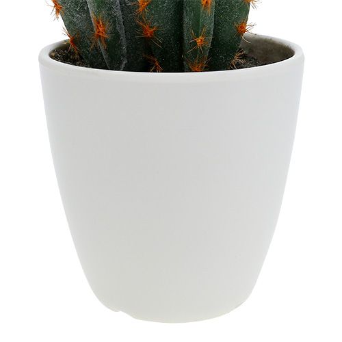 Floristik24 Cactussen in pot kunst 20cm