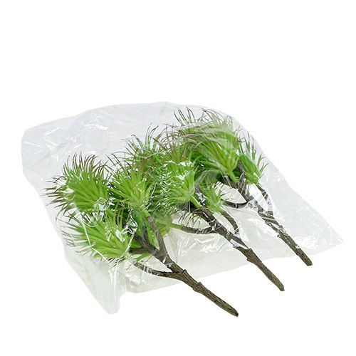 Floristik24 Cactustakken 20cm lichtgroen 3st