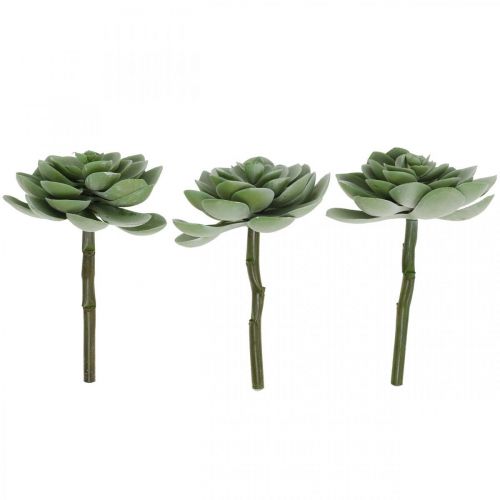Floristik24 Kunst succulent deco kunstplanten groen 11×8.5cm 3st