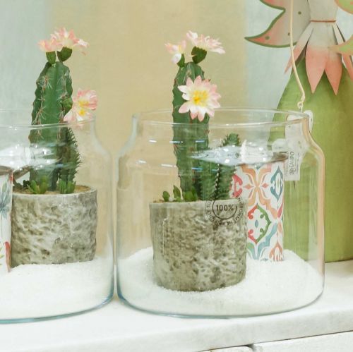 Floristik24 Cactus in pot met bloem 21cm wit