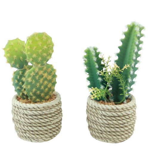 Artikel Cactus in pot kunstcactus assorti 28cm 2st