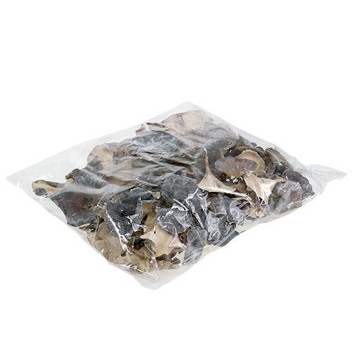 Floristik24 Kalix champignon wit gewassen 100 st