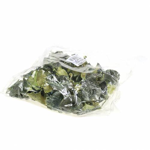 Artikel Kalix paddestoel groen, white washed 100 st
