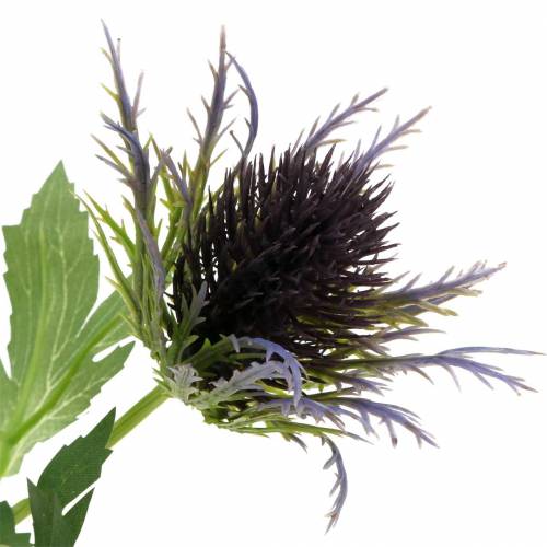 Floristik24 Distel kunsttak blauw-violet 68cm 3st