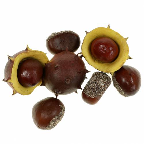 Floristik24 Decoratief kastanje kastanje assortiment 5,5cm 24 st