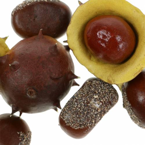 Floristik24 Decoratief kastanje kastanje assortiment 5,5cm 24 st