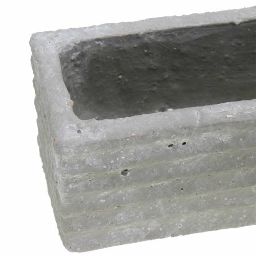 Floristik24 Plantenbak beton lichtgrijs 30x7cm H6.5cm 2st