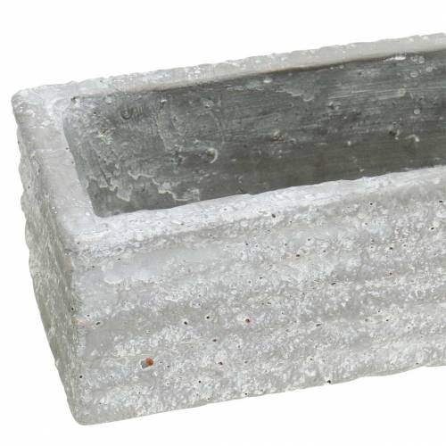 Floristik24 Plantenbak beton lichtgrijs 40x8cm H6,7cm