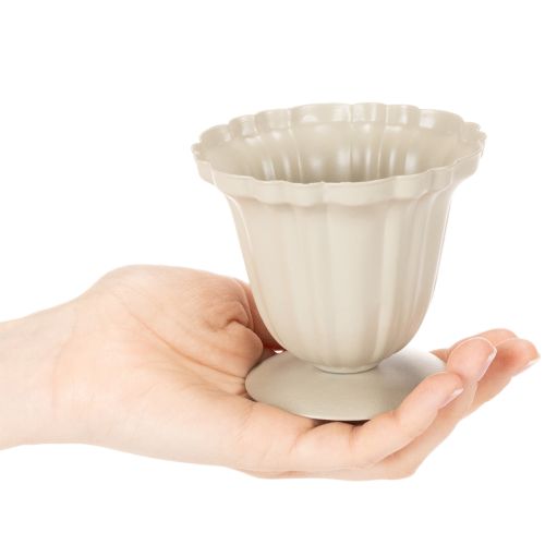 Decoratieve schaal, crèmekleurige trofee, klein, 10 cm | Floristik24.nl