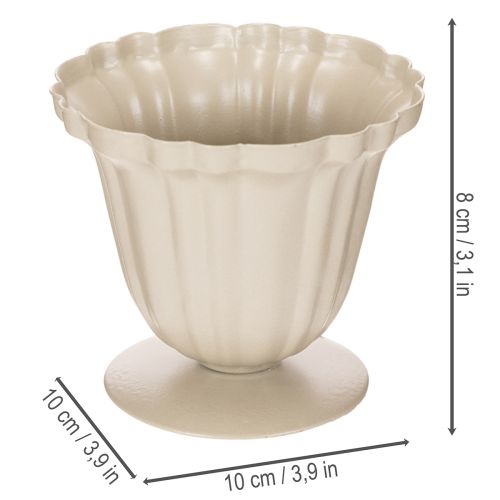 Decoratieve schaal, crèmekleurige trofee, klein, 10 cm | Floristik24.nl