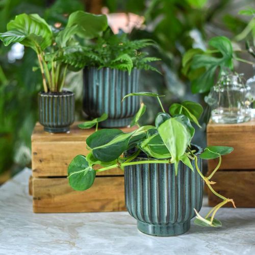 Floristik24 Keramische plantenpot, bloemdecoratie, golvende plantenbak groen, bruin Ø15.5cm H16.5cm