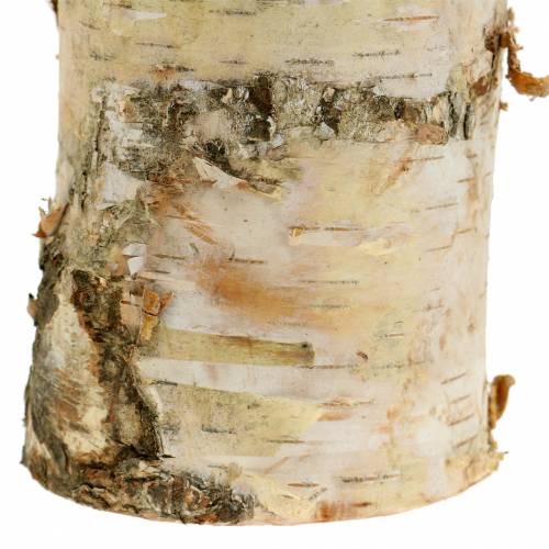 Floristik24 Kandelaar berken Ø8cm H14cm