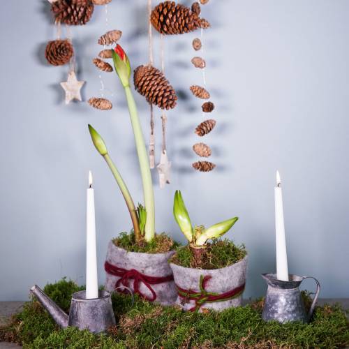 Floristik24 Kandelaar antiek look H12/9cm 2st