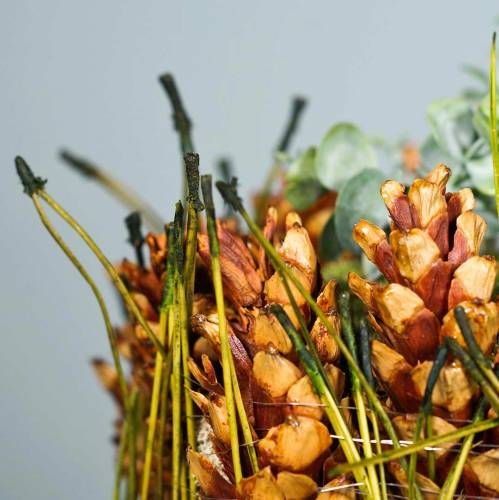 Floristik24 Dennennaalden groen 400g