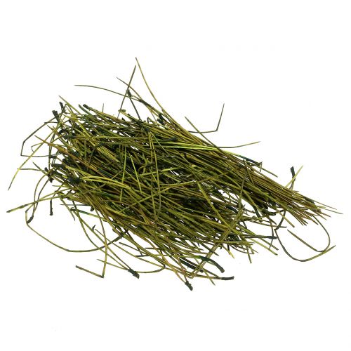 Floristik24 Dennennaalden groen 400g