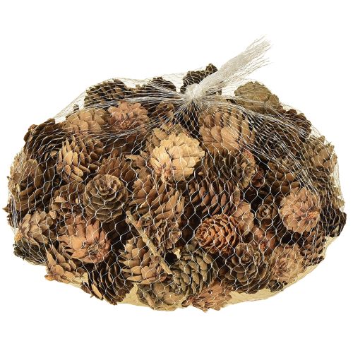 Artikel Dennenappels natuurlijke kleine dennenappels decoratie in net 2,5-3,5cm 300g