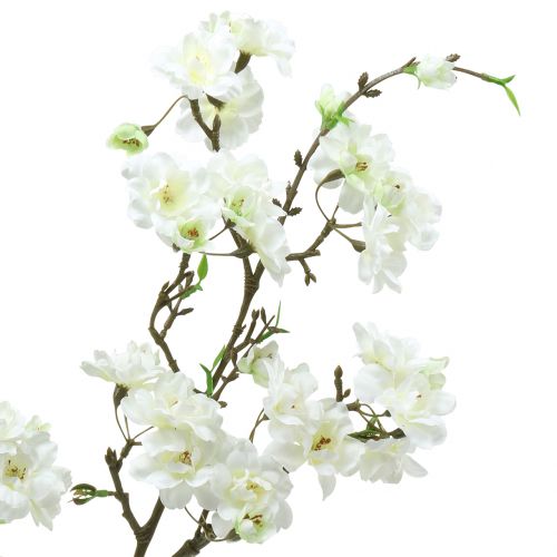 Floristik24 Kersenbloesemtak wit 105cm