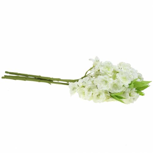 Floristik24 Kersentak creme 45 cm 3 stks voor decoratie