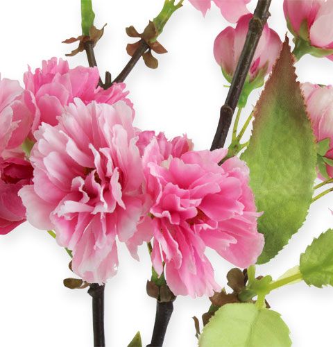 Floristik24 Roze kersenbloesemtak 77cm